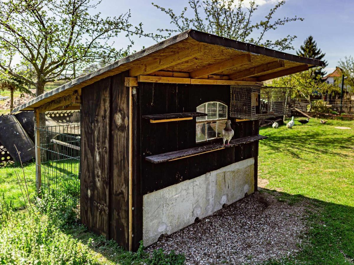 Farm stay Hof Lewin *