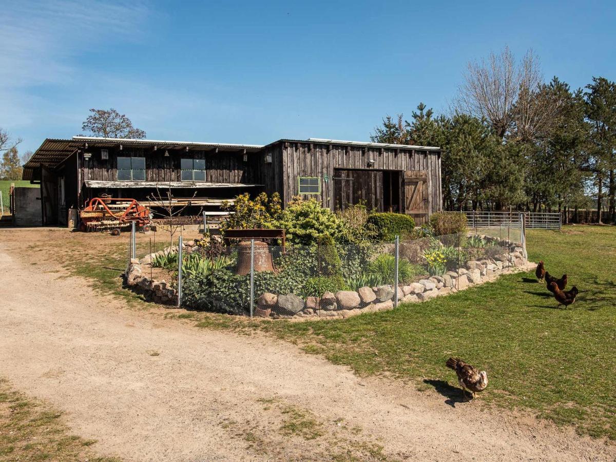 Farm stay Hof Lewin *