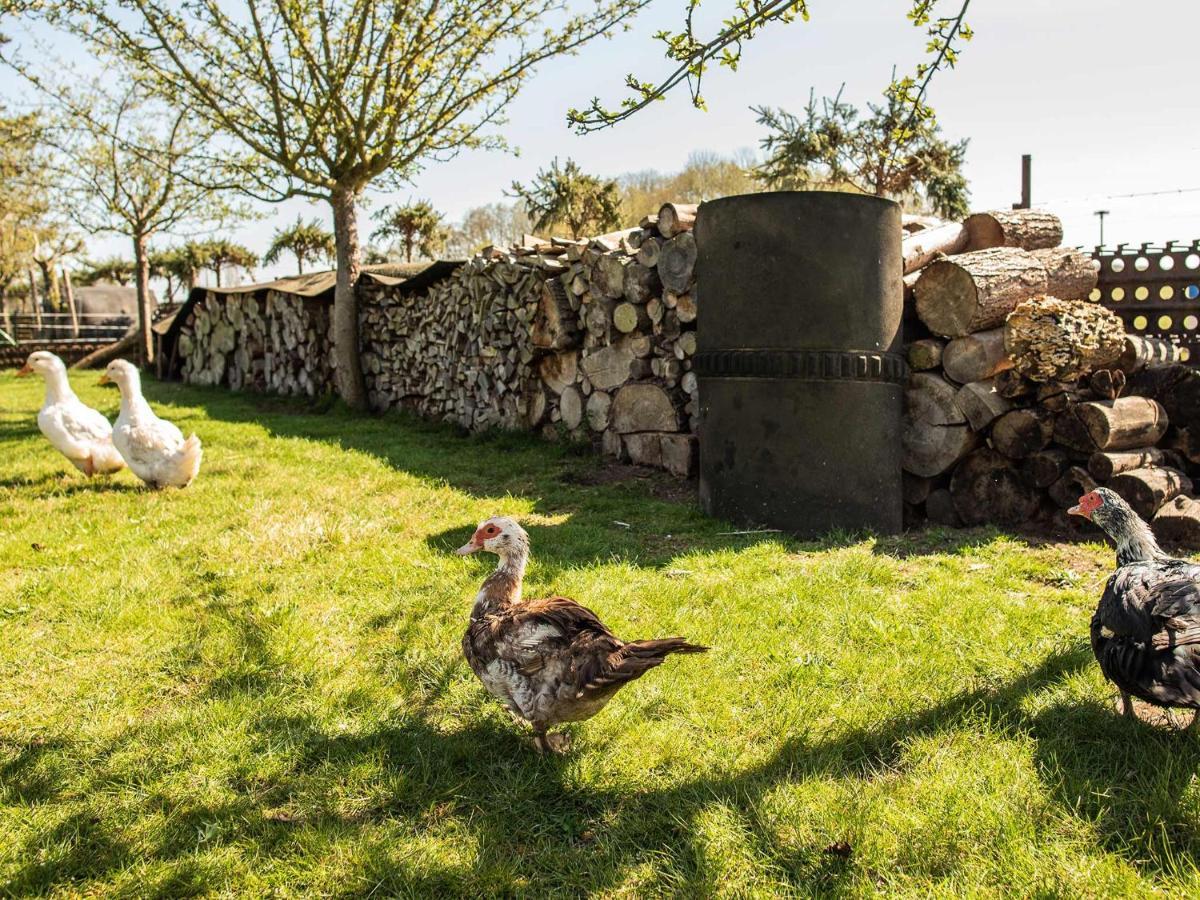 Farm stay Hof Lewin