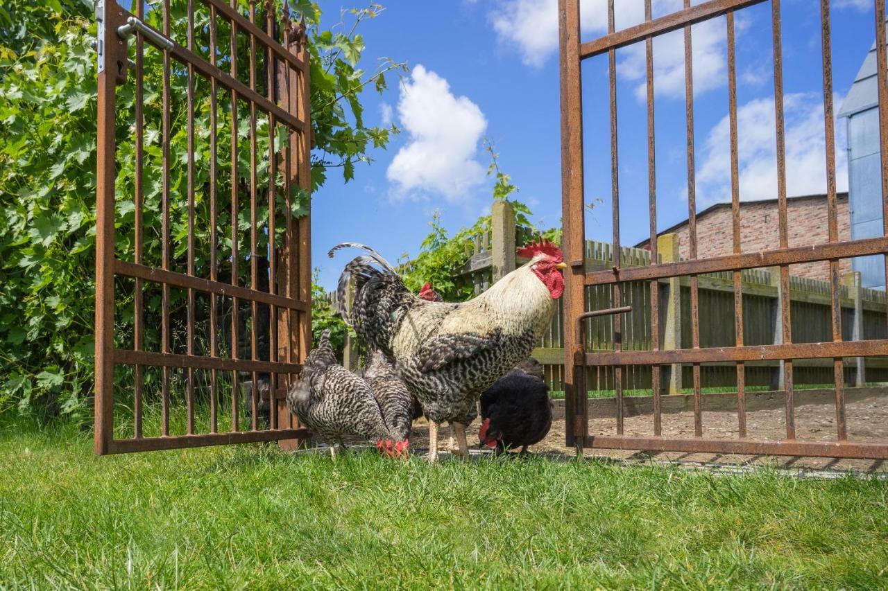 Hof Lewin Farm stay
